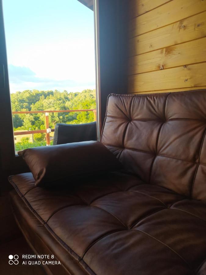 Casa Das Vinhas Velhas By Casa Do Poco Peso da Régua Eksteriør bilde