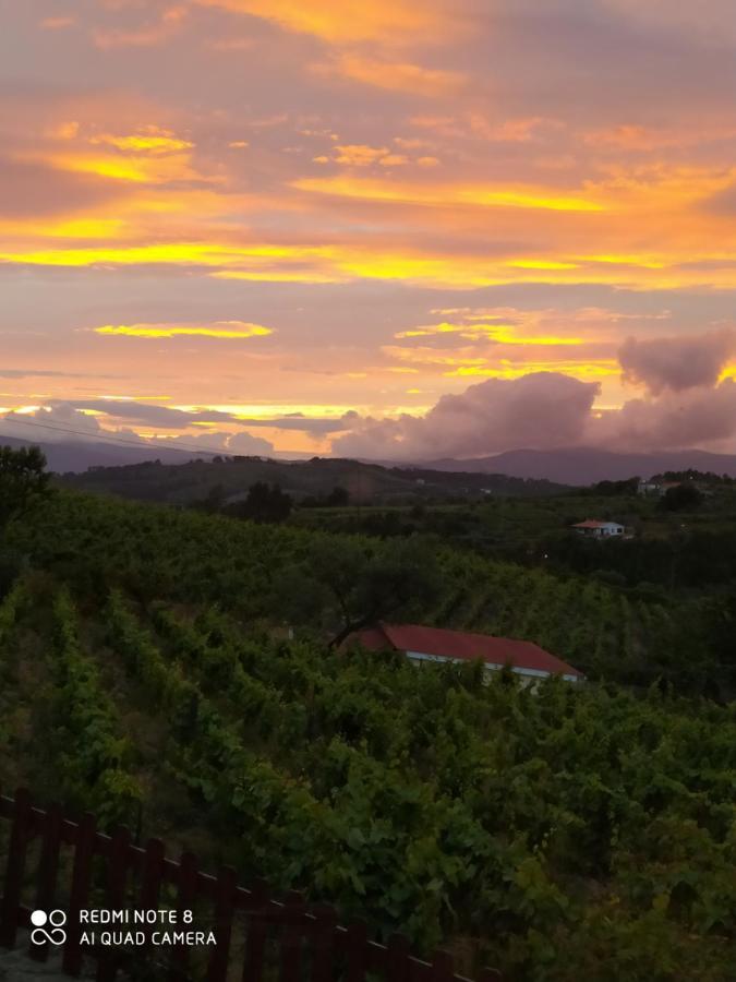 Casa Das Vinhas Velhas By Casa Do Poco Peso da Régua Eksteriør bilde