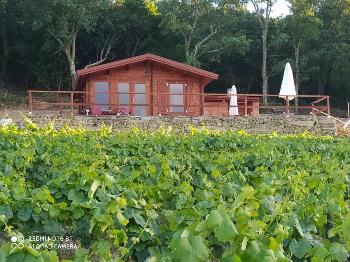 Casa Das Vinhas Velhas By Casa Do Poco Peso da Régua Eksteriør bilde